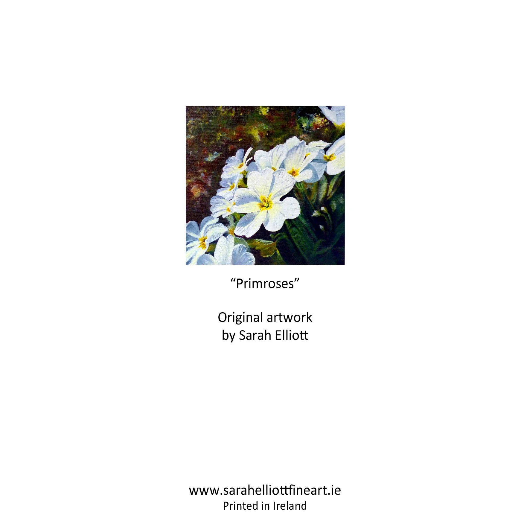 Primroses – Flower Greeting Card — Sarah Elliott Fine Art
